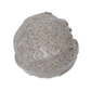Black Sesame (Healthier Choice)